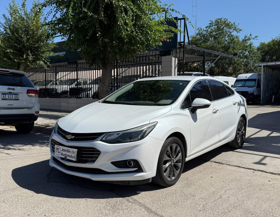 WhatsApp Image 2026-01-16 at 16.36.51